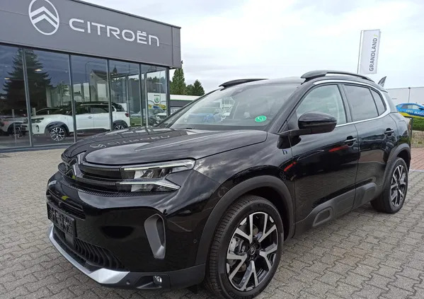 Citroen C5 Aircross cena 172900 przebieg: 5, rok produkcji 2023 z Skoczów małe 407